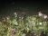 irrigation_sprinklers&lawn_robot_in_dist