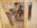 shower_valves